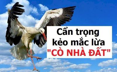 Môi giới bất động sản lật tẩy 6 chiêu “lùa gà” phổ biến của giới cò đất không-có-tâm mà người mua nhà cần biết