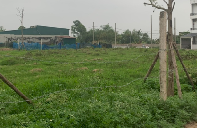 Sốt đất bỏ tiền mua đất đợi chờ giá tăng là bán: Hành động làm hại nền kinh tế?