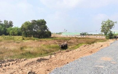 Khách hàng đứng trước nguy cơ 'tiền mất, tật mang' ở dự án Hamilton Garden