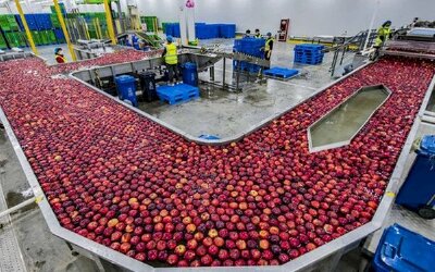 Chạy ăn cho 1,4 tỷ người, các gã khổng lồ thương mại điện tử Trung Quốc gia nhập cuộc chiến chống khủng hoảng lương thực rình rập