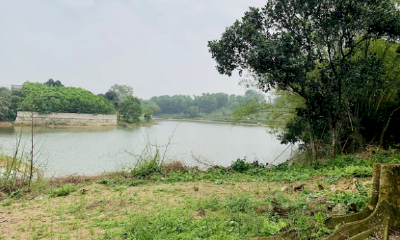 Sốt đất khắp nơi: Đất ven ao, bãi trâu gặm cỏ được hét giá lên đến 4 triệu đồng/m2... người dân treo biển 