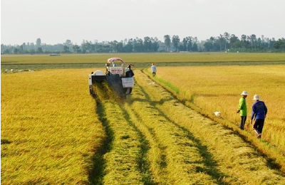Thủ tục , phí chuyển từ đất nông nghiệp sang đất ở năm 2021