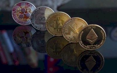 Lý giải xu hướng người người, nhà nhà đều tất tay cho tài sản kỹ thuật số bất chấp rủi ro mất trắng