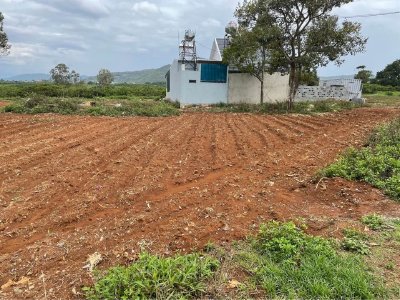 Cảnh báo thị trường BĐS cuối năm 2021, giới đầu tư F0 sẽ rút khỏi thị trường nhiều, nhà đầu cơ xả hàng mạnh