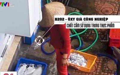  Cơ sở tẩy trắng mực bằng hóa chất: Giám đốc khai 