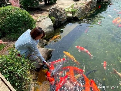 Các bạn mới, muốn đầu tư đừng chơi bitcoin! - lời khuyên thấm thía từ nữ đầu tư 8x đang loay hoay với khoản lỗ gần 1 tỷ đồng khi dấn thân vào tiền ảo