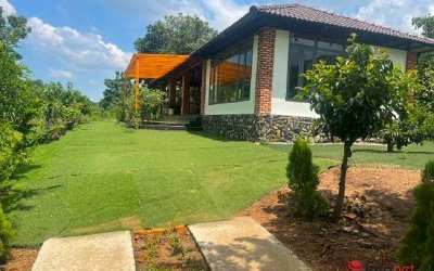 Nhà vườn hoành tráng chủ nói chỉ là 'chuồng chó' trên sông: Huyện sẽ xử lý dứt điểm