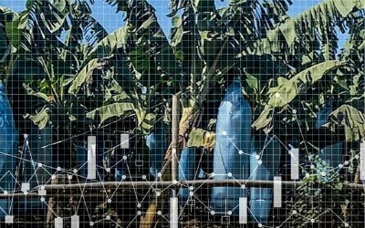 10 năm thâu tóm 6,5 triệu hecta đất trên toàn thế giới, các công ty Trung Quốc đang toan tính gì?