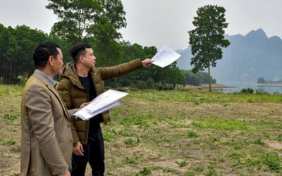 Đầu tư theo đám đông, nhiều nhà đầu tư F0 