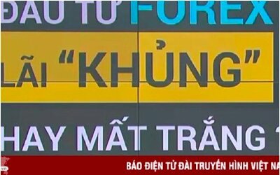 Cơ hội triệu đô, chuyên gia đọc lệnh, thủ lĩnh huyền thoại: Đầu tư Forex, lãi khủng hay mất trắng?