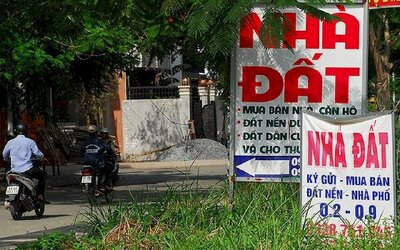 Cựu giám đốc sàn BĐS: Mới ngày nào mặc vest tiếp khách VIP, lái ô tô đi giao dịch nhà đất kiếm tiền tỷ...giờ đây, mặc quần đùi hái rau, nuôi lợn kiếm sống qua ngày