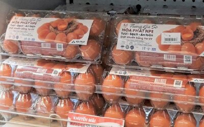 Vua thép Hòa Phát 