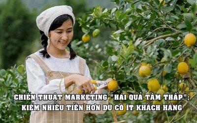 ‘Hái quả tầm thấp’ – chiến thuật marketing giúp nhiều công ty vẫn ăn nên làm ra dù có ít khách hàng, bỏ ra chi phí tối thiểu thu về lợi nhuận không hề thấp