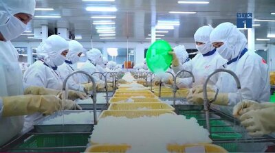 Thiếu hụt lao động – tình trạng báo động tại TP.HCM