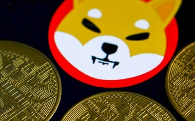 Elon Musk lại thổi giá tiền số: Chỉ tweet về cún cưng cũng góp phần giúp 1 mã tăng vọt 216% trong tuần, làm lu mờ Bitcoin và Ether