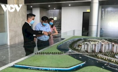 Vì sao giá chung cư tăng, đất nền có chiều hướng giảm?