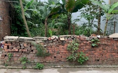 Đánh thuế bất động sản: “Người chưa sở hữu đất sẽ hưởng lợi đầu tiên”