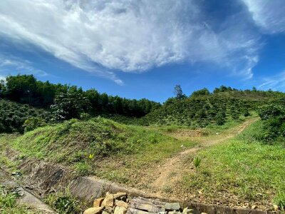 Mua đất nền chưa có sổ đỏ riêng, phải làm gì nếu không may xảy ra rủi ro?