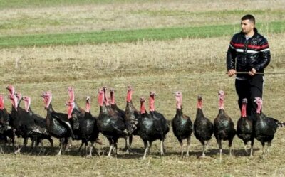 'Nếu không tử tế xin đừng đẹp trai': Lời khuyên chọn cổ phiếu của chuyên gia dành cho các chứng sĩ F0 đang băn khoăn đầu tư hay đầu cơ