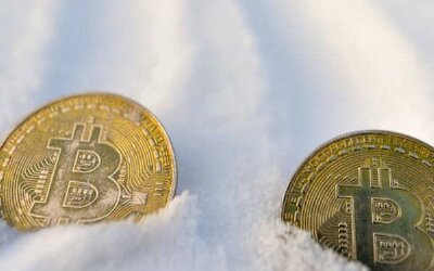 Giữa căng thẳng địa chính trị và lãi suất tăng, tương lai của Bitcoin sẽ đi về đâu?