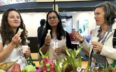  Loại quả Việt liên tục phải giải cứu nhưng lại trở thành 'siêu thực phẩm' 600.000 đồng/kg bên trời Âu