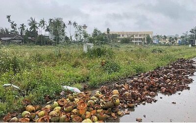 Đất đấu giá “ế” khách vì giá khởi điểm cao chót vót