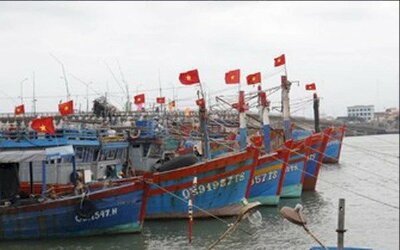 Không dám ra khơi vì giá dầu tăng cao