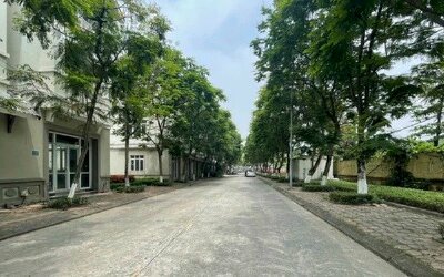  Phân khúc nhà giàu: 