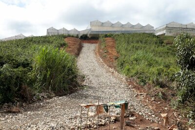 Lâm Đồng: Quy định về điều kiện tách, hợp thửa đất và diện tích tối thiểu được tách thửa đối với từng loại đất