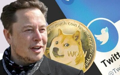 Chuyện gì đây: Elon Musk bị nhà đồng sáng lập Dogecoin gọi là kẻ lừa đảo, bán 'giấc mơ làm giàu' cho người nghèo