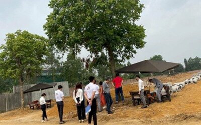 Mách nước để nhà đầu tư không đu đỉnh giá đất