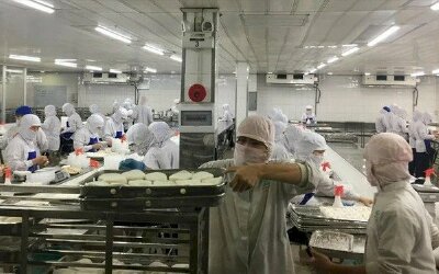 Tỉ giá tăng, doanh nghiệp chật vật xoay xở